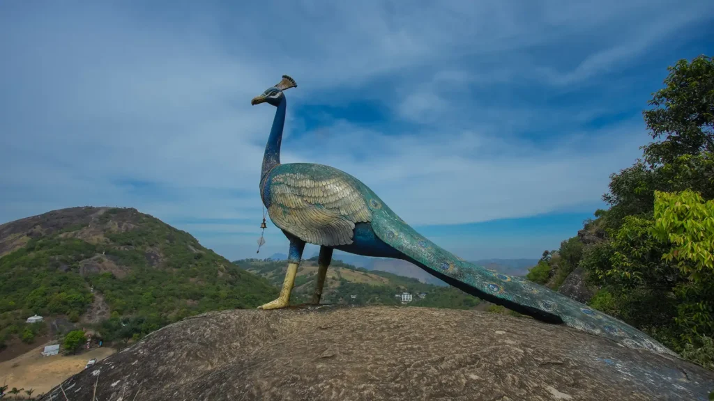 murugan hill near by  thangal para