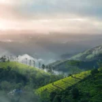 hill view image of vagamon