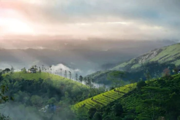 hill view image of vagamon