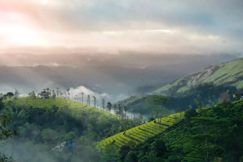 hill view image of vagamon