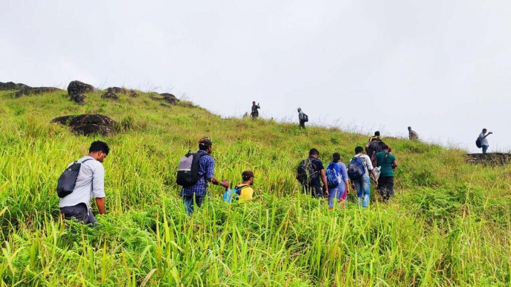 people trekking on the hills of vagamon