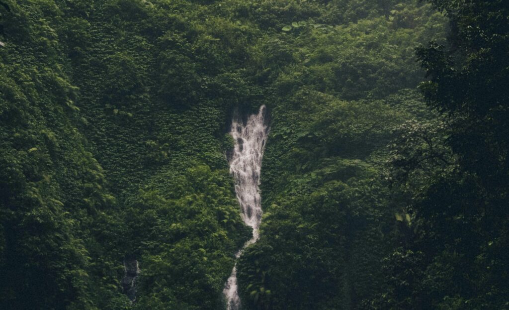 water fall image of a vagamon