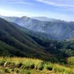 Uluppuni Meadows Vagamon – Complete Travel Guide to Vagamon’s Hidden Grasslands