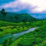 Monsoon in Vagamon
