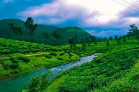 Monsoon in Vagamon